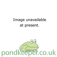 Image of Pond Fleece Underlay 4x4