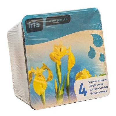 moerings iris pond plant in a basket (yellow, x2)