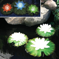 Bermuda Floating Solar Lilies