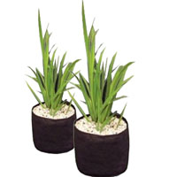 Click to view product details and reviews for Velda Medium Round Pond Planting Bag 25 X 20cm.
