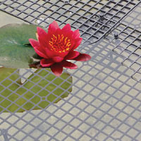 Image of Netfloat Pond Protectors - Square - Triple