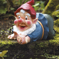 Image of Bermuda Pond Gnome Caught in the Act