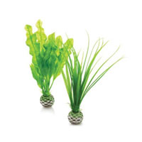 Click to view product details and reviews for Biorb Easy Plant Set Small Green.