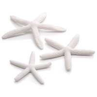 Image of Oase BiOrb Starfish (Set of 3, White)