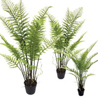 Click to view product details and reviews for Velda Fern Artificial Pond Plants Triple Pack.