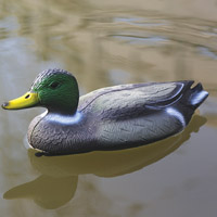 Image of Velda Floating Duck (Male)