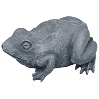 Image of Oase Frog Spitter