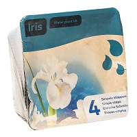 Image of Moerings Iris Pond Plant in a Basket (White, x2)