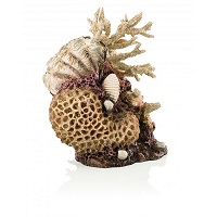 Image of Oase BiOrb Coral-Shells Ornament (Natural)