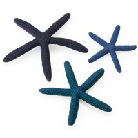 Image of Oase BiOrb Starfish (Set Of 3, Blue)