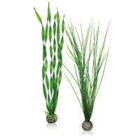 Image of Oase BiOrb Easy Plant Set (Large, Green)