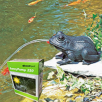 Image of PondXpert Crouching Frog Spitter (Large) & SunnyPump 250