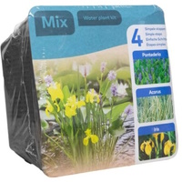 Image of Moerings Waterplants Complete Kit (Trio Plant Mix)