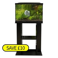 Image of SuperFish Start 70 (Black) & STAND COMBO DEAL