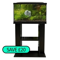 Image of SuperFish Start 100 (Black) & STAND COMBO DEAL