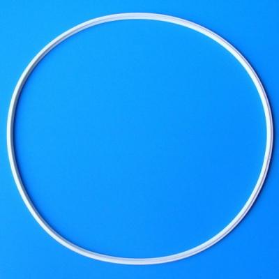 Fish Mate Powerclenz 30/45000 Lid O-Ring Thumbnail Image