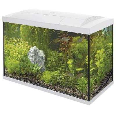 SuperFish Start 100 Tropical Kit White SuperFish Start 100 Tropical Kit White