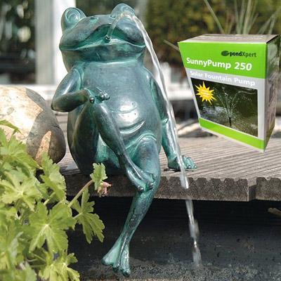 PondXpert Sitting Frog Spitter & SolarShower 200 Thumbnail Image