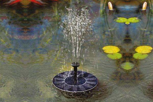 extended pond image