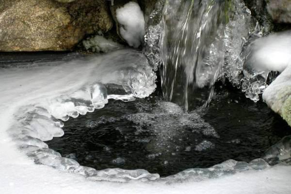 How to Look After your Fish in Winter