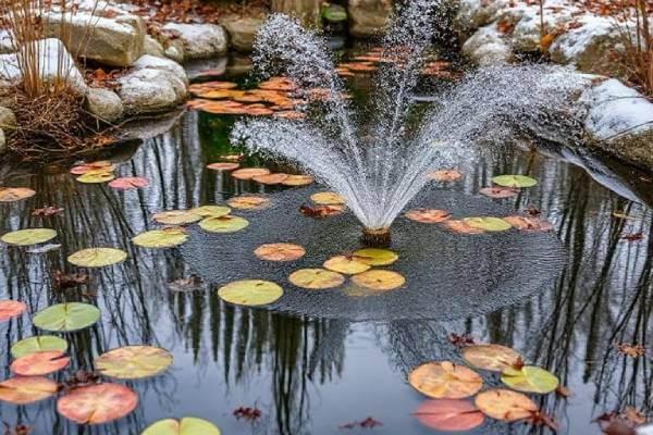 Aerating your Pond in Autumn and Winter