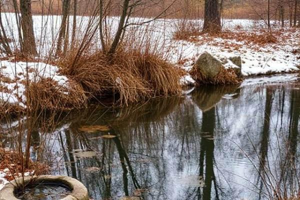 November and December Pond Care