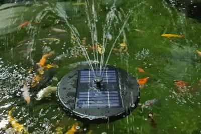 Wildlife Ponds