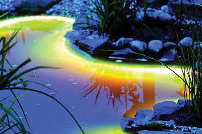 your pond at night
