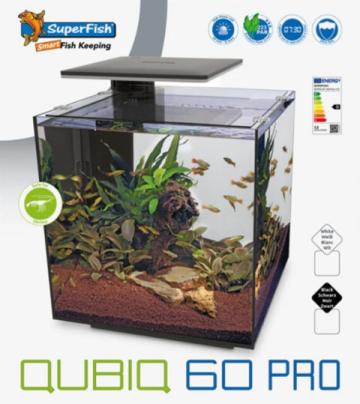 AQ-SFQUIBIQ60-2
