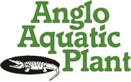 anglo aquatic