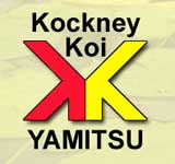kockney koi