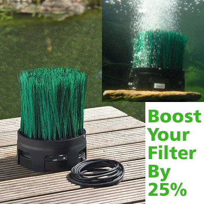 oase oxytex 1000 green fronds air stone