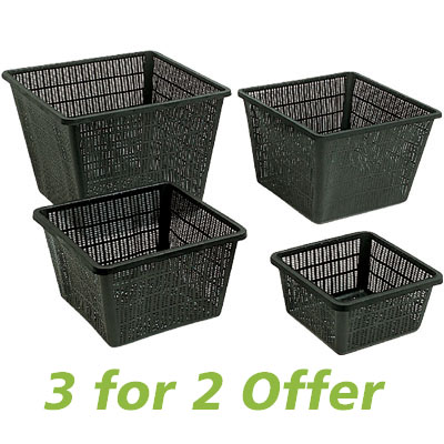 Equipement basket discount