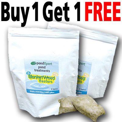 pondxpert blanketweed beaters (bogof deal)