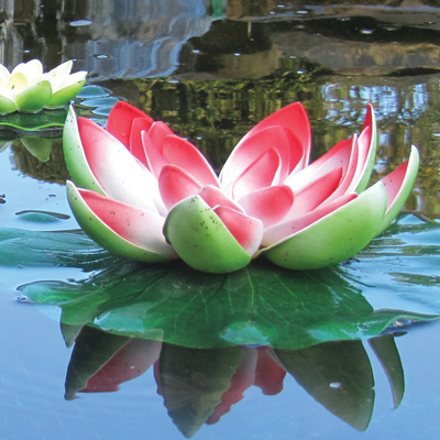 pondxpert solar lily red (large)