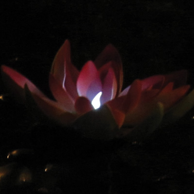 pondxpert solar lily red (large)
