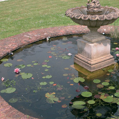 netfloat pond protectors 20 rings