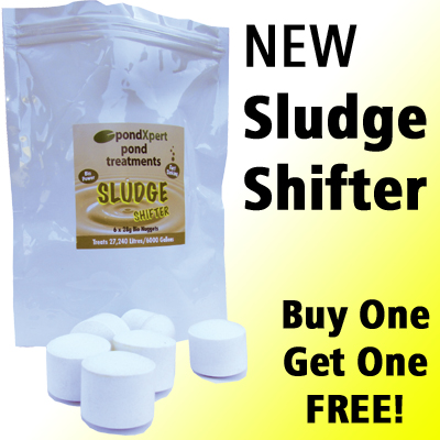  pondxpert sludge shifter (bogof)