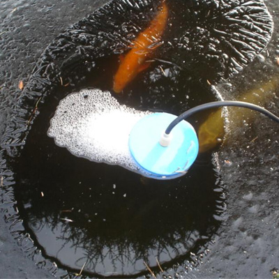 Bermuda Pond Heater 150: Pond Heaters Bermuda Pond Heater 150: Pond Heaters