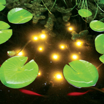 Underwater clearance pond lights