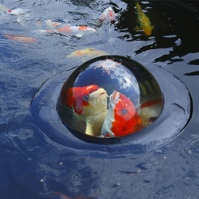 velda floating koi dome (medium)