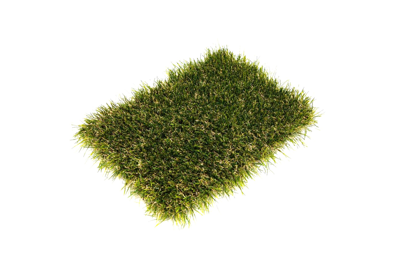 Pond Grass edging