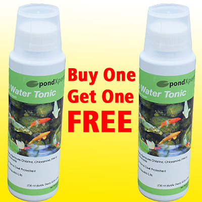 pondxpert tap tonic (236ml, bogof)