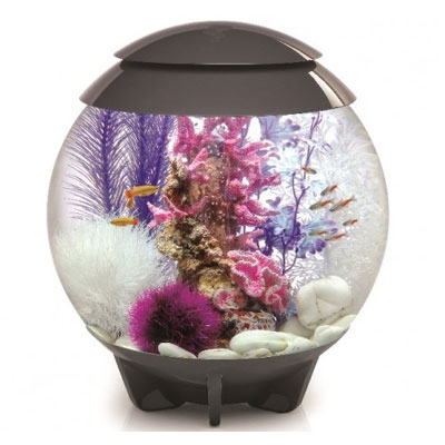 biorb halo 30 led moonlight grey