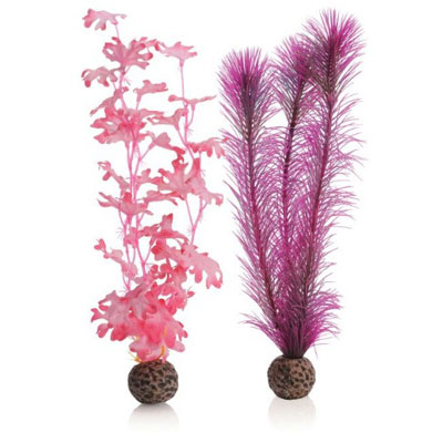 oase biorb kelp set (medium pink)
