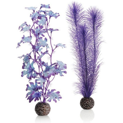 oase biorb kelp set (medium purple)
