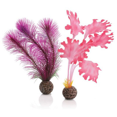 biorb kelp set (small pink)