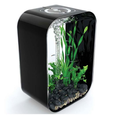 biorb life 45 black