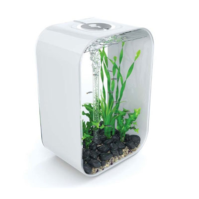 biorb life 45 white