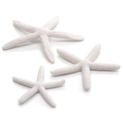 oase biorb starfish (set of 3, white)